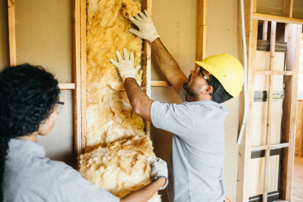 Reliable Broadview Park, FL Insulation Contractor Solutions